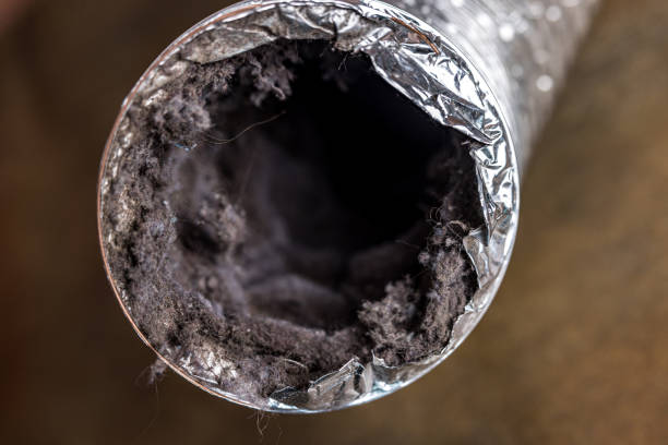 Best Affordable HVAC Duct Cleaning  in Orida Ridge, FL